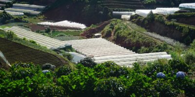 a field with rows of greenhouses in the middle of it