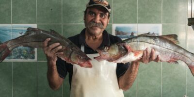 Trgovina na malo ribom, ljuskarima i mekušcima u specijalizovanim prodavnicama