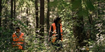 Gajenje šuma i ostale šumarske delatnosti