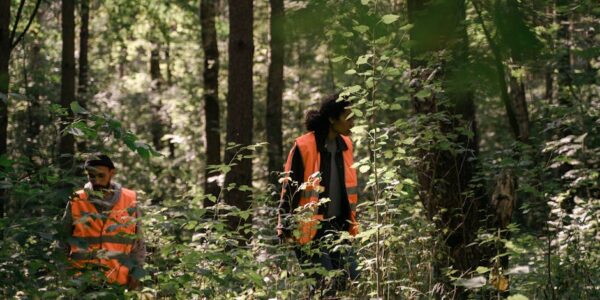 Gajenje šuma i ostale šumarske delatnosti