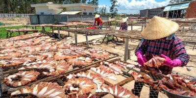 Prerada i konzervisanje ribe, ljuskara i mekušaca