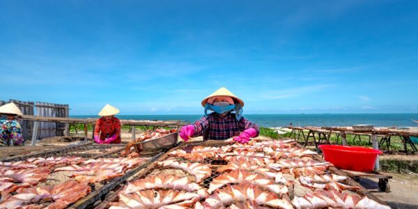 Prerada i konzervisanje ribe, ljuskara i mekušaca