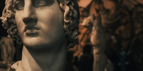 Delatnost muzeja galerija i zbirki