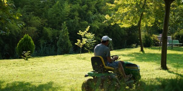 Usluge uređenja i održavanja okoline