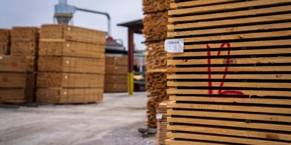 Rezanje i obrada drveta