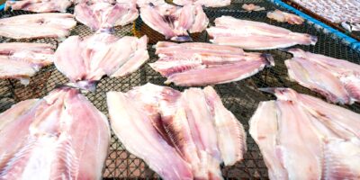 Prerada i konzervisanje ribe, ljuskara i mekušaca