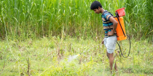 Proizvodnja pesticida i hemikalija za poljoprivredu