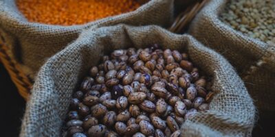 Trgovina na veliko žitom, sirovim duvanom, semenjem i hranom za životinje