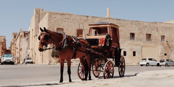 Proizvodnja ostale transportne opreme