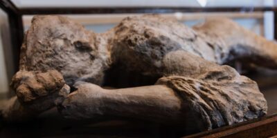 Zaštita i održavanje nepokretnih kulturnih dobara, kulturno-istorijskih lokacija, zgrada i sličnih turističkih spomenika