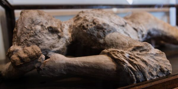 Zaštita i održavanje nepokretnih kulturnih dobara, kulturno-istorijskih lokacija, zgrada i sličnih turističkih spomenika