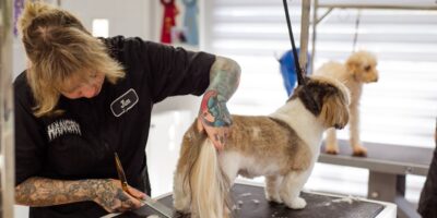 Ostale nepomenute lične uslužne delatnosti