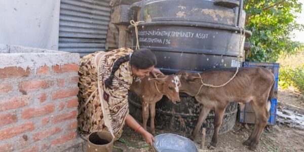 Gajenje ostalih jednogodišnjih i dvogodišnjih biljaka