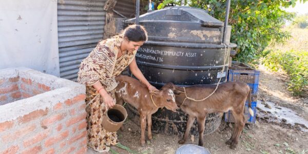 Mešovita poljoprivredna proizvodnja