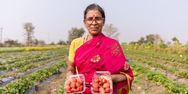 Uslužne delatnosti u gajenju useva i zasada