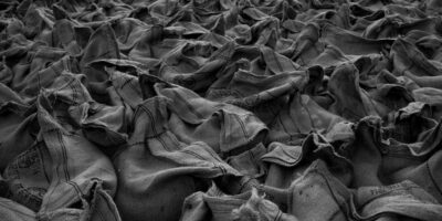 Trgovina na veliko poljoprivrednim sirovinama i životinjama