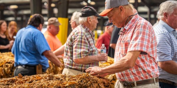 Proizvodnja duvanskih proizvoda