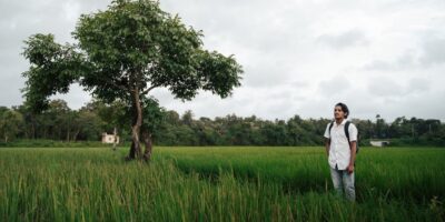 Gajenje ostalih višegodišnjih biljaka