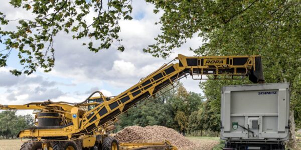 Proizvodnja šećera