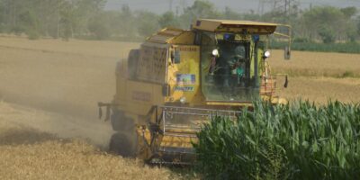 Proizvodnja mlinskih proizvoda, skroba i skrobnih proizvoda