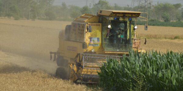 Proizvodnja mlinskih proizvoda, skroba i skrobnih proizvoda