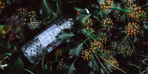 Tretman i odlaganje otpada koji nije opasan