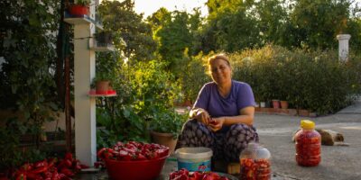 Delatnost domaćinstava koja proizvode robu za sopstvene potrebe