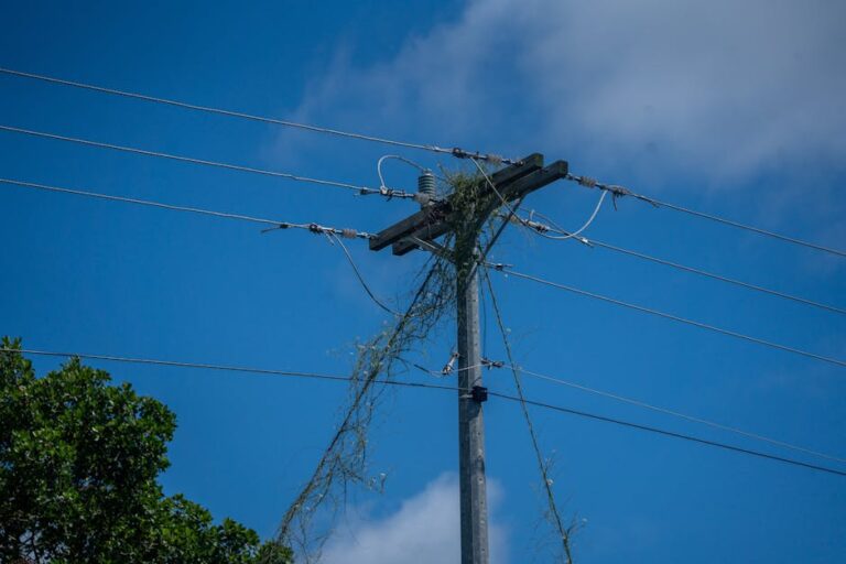 Snabdevanje električnom energijom, gasom, parom i klimatizacija
