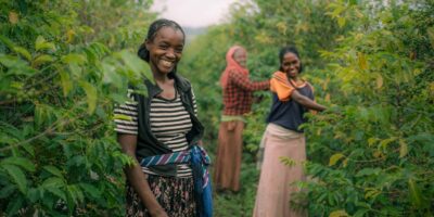 Gajenje biljaka za pripremanje napitaka