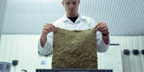 Istraživanje i razvoj u ostalim prirodnim i tehničko-tehnološkim naukama