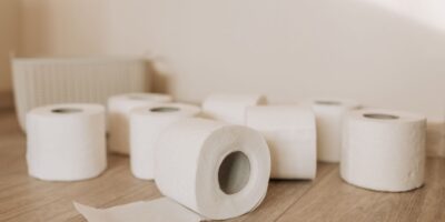 Proizvodnja predmeta od papira za ličnu upotrebu i upotrebu u domaćinstvu