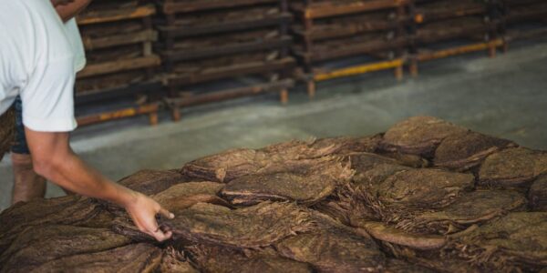 Proizvodnja duvanskih proizvoda