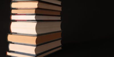 Izdavanje knjiga, časopisa i druge izdavačke delatnosti