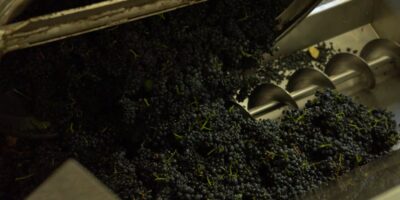 Proizvodnja sokova od voća i povrća