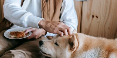 Proizvodnja gotove hrane za životinje