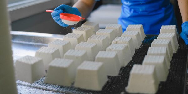 Proizvodnja mlečnih proizvoda