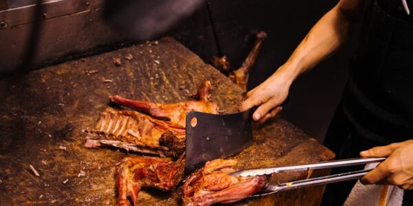 Prerada i konzervisanje mesa i proizvoda od mesa