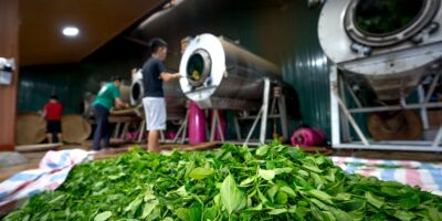 Proizvodnja duvanskih proizvoda