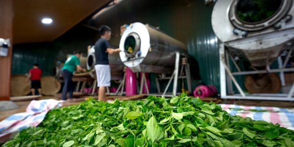 Proizvodnja duvanskih proizvoda