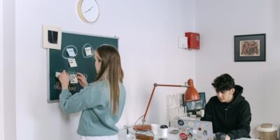 Delatnost poslovnih i profesionalnih organizacija i poslodavaca