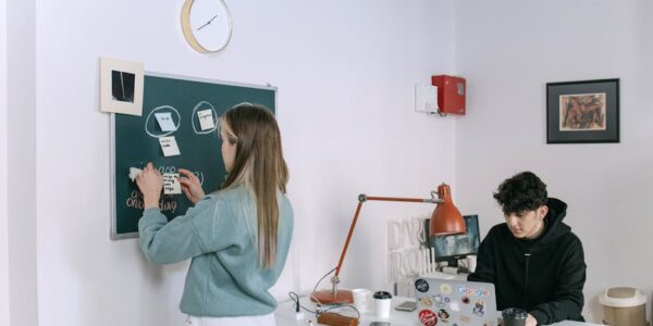 Delatnost poslovnih i profesionalnih organizacija i poslodavaca