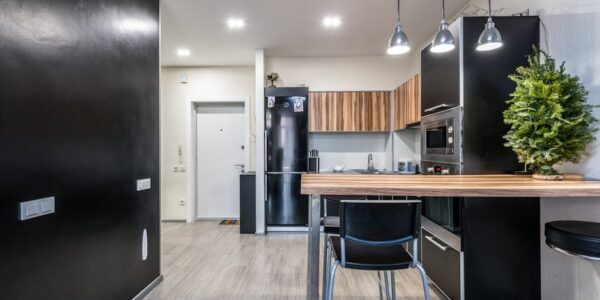 Proizvodnja električnih aparata za domaćinstvo