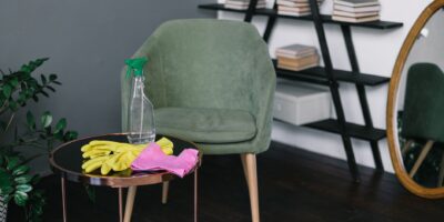 Delatnost domaćinstava koja zapošljavaju poslugu