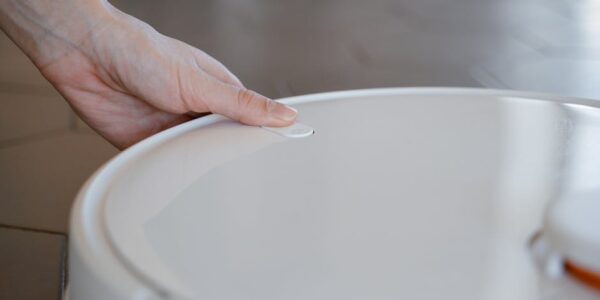 DELATNOST DOMAĆINSTVA KAO POSLODAVCA; DELATNOST DOMAĆINSTAVA KOJA PROIZVODE ROBU I USLUGE ZA SOPSTVENE POTREBE