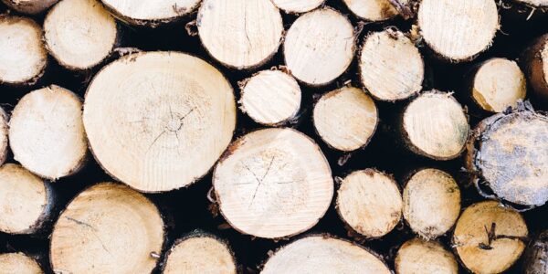 Šumarstvo i seča drveća