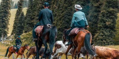 Trgovina na veliko životinjama