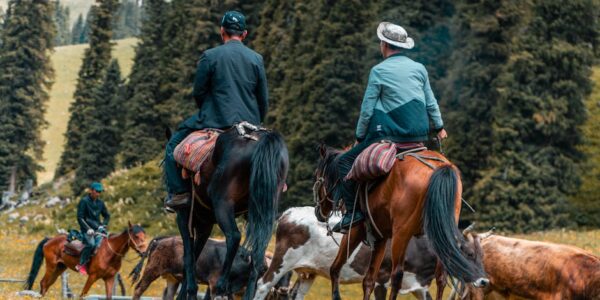 Trgovina na veliko životinjama