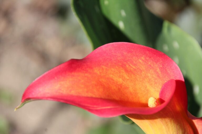 Ilustracija marketing funnel-a sa fazama svestnosti, interesovanja, odluke i akcije za efikasnu prodaju u biznisu