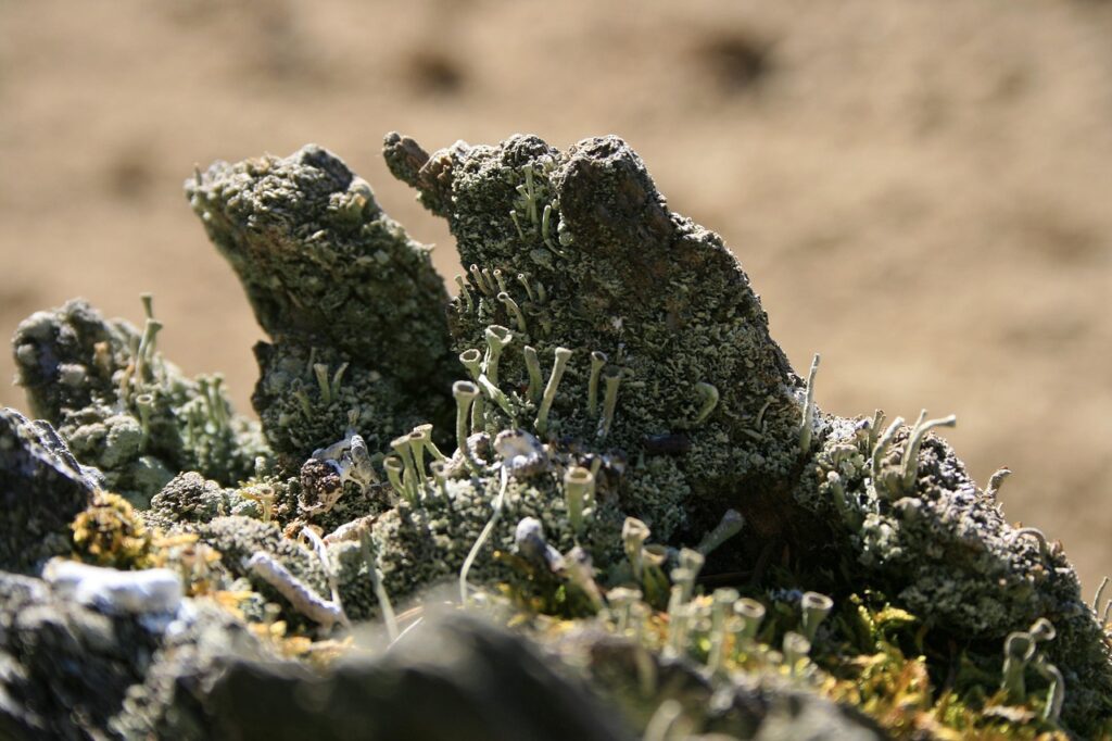 Dijagram prodajnog funela sa fazama TOFU, MOFU i BOFU za optimizaciju konverzija u biznisu