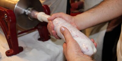 Prerada i konzervisanje mesa i proizvodnja mesnih proizvoda